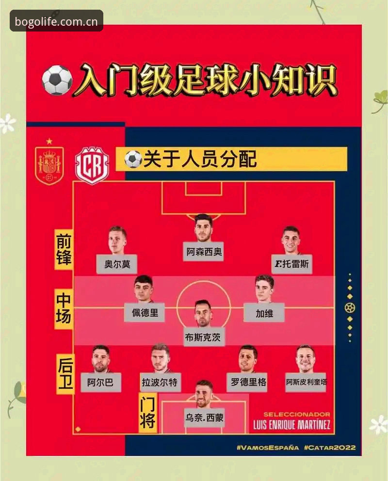 博狗使用教程安装教程 世界杯观赛实用指南:签证危机下的球迷应对策略